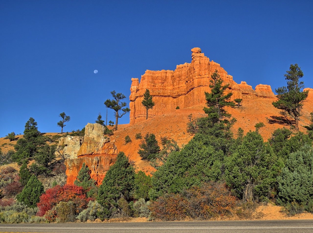 The Dixie National Forest