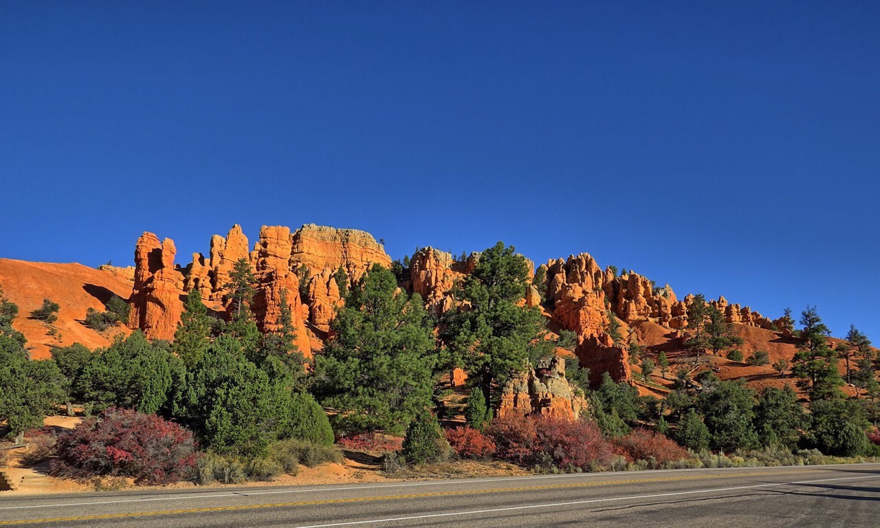 The Dixie National Forest