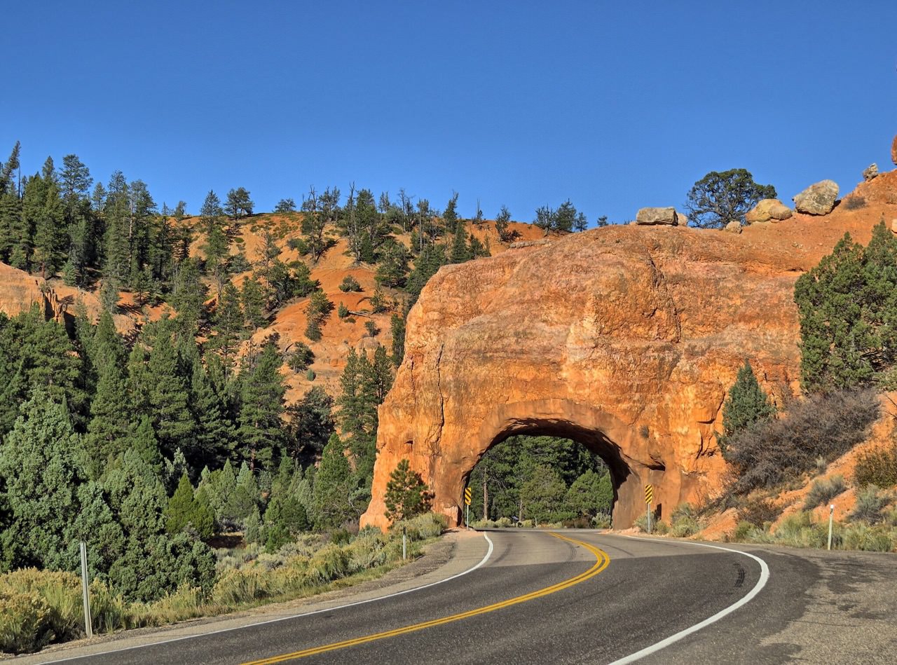 The Dixie National Forest