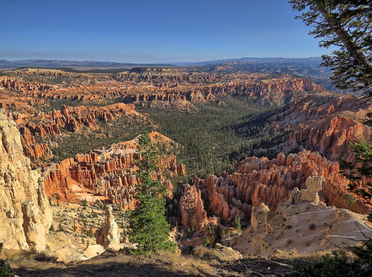 The beauty of Bryce Canyon from the Bryce Point overlook