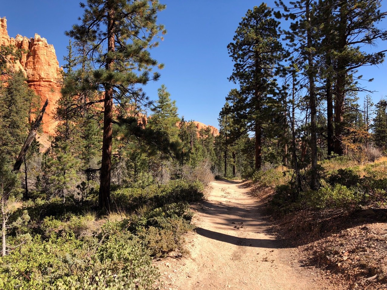 Near the floor of the canyon