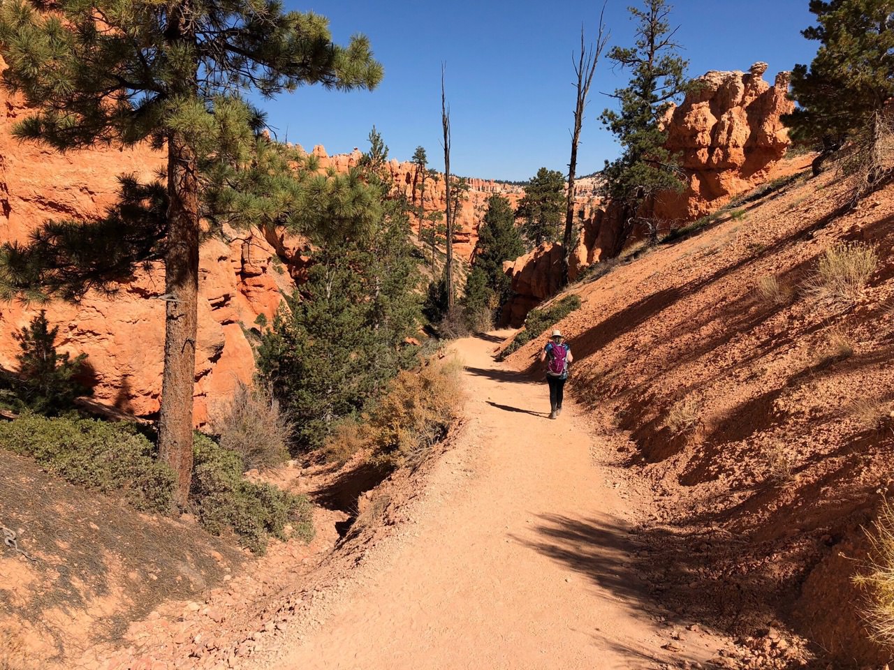 There were no bad views in Bryce