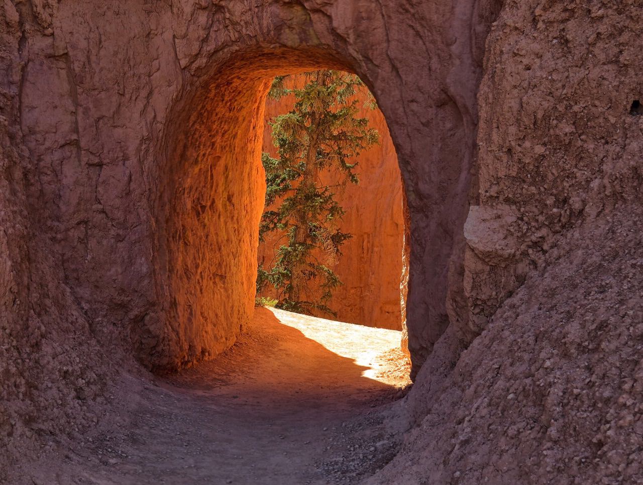 A doorway to yet another serpentine path