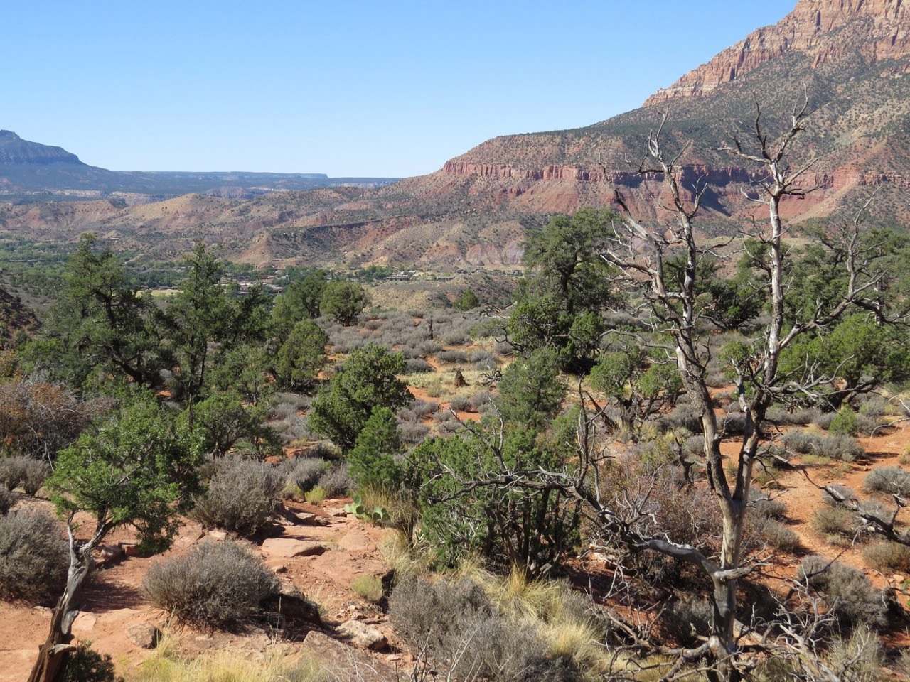 Looking back toward Springdale